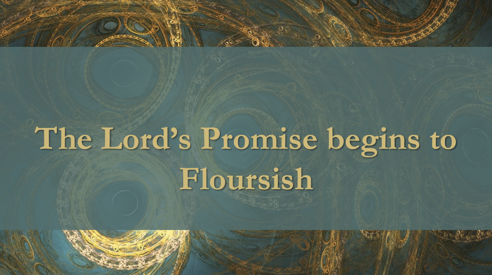 The Lord’s Promise Begins to Flourish